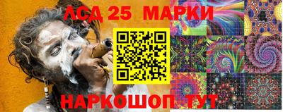 гидропоника Обнинск