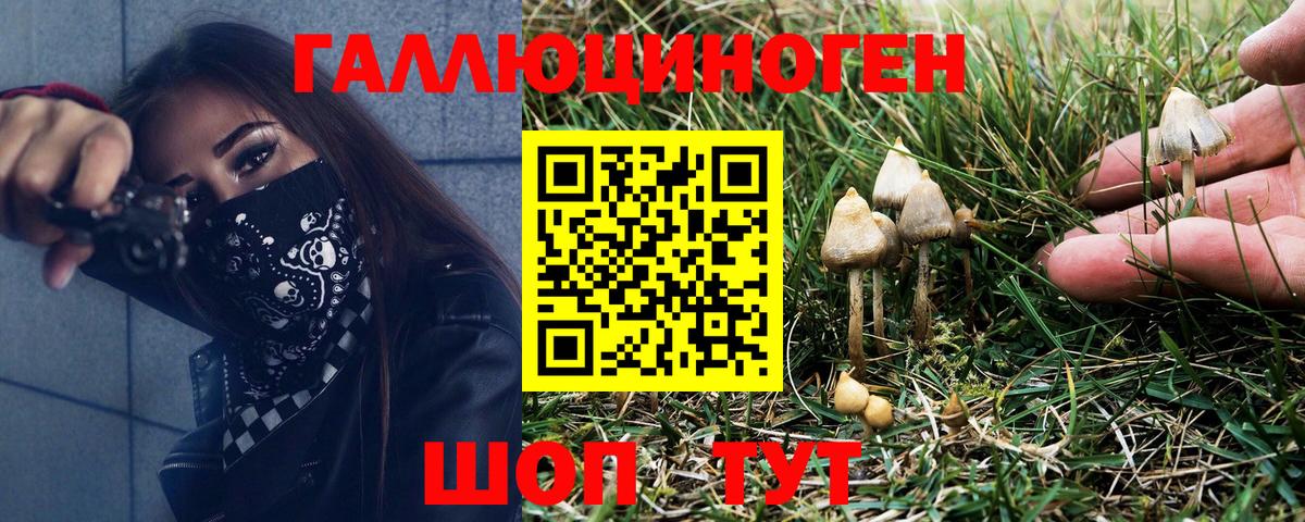 что такое   Галлюциногенные грибы прущие грибы  Вход с VPN  Пушкино  Галлюциногенные грибы прущие грибы 